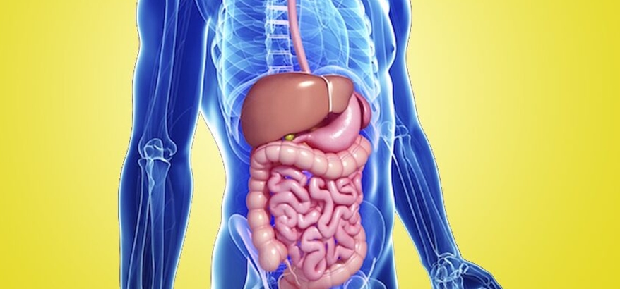Cara Mengatasi Sindrom Iritasi Usus dengan Diet Sehat, Tips dari Ahli Farmasi