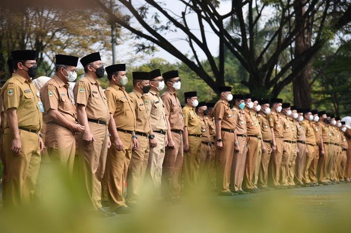 Fitur Unggulan yang Harus Ada dalam Tryout CPNS Lengkap Versi Terbaru