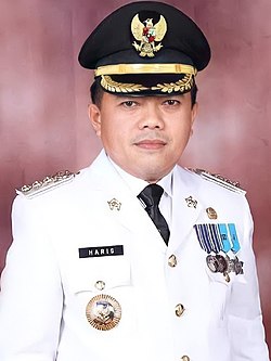 Profil dan Perjalanan Politik Gubernur Al Haris di Provinsi Jambi: Menyongsong Masa Depan Penuh Harapan
