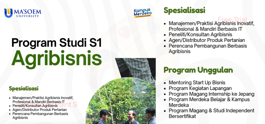 Jurusan Agribisnis di Bandung: Prospek Cerah dan Peluang Karier Menjanjikan di Universitas Ma’soem