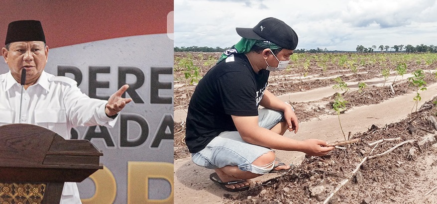 Prabowo Subianto dan Food Estate, Kegagalan Ketahanan Pangan yang Merusak Hutan