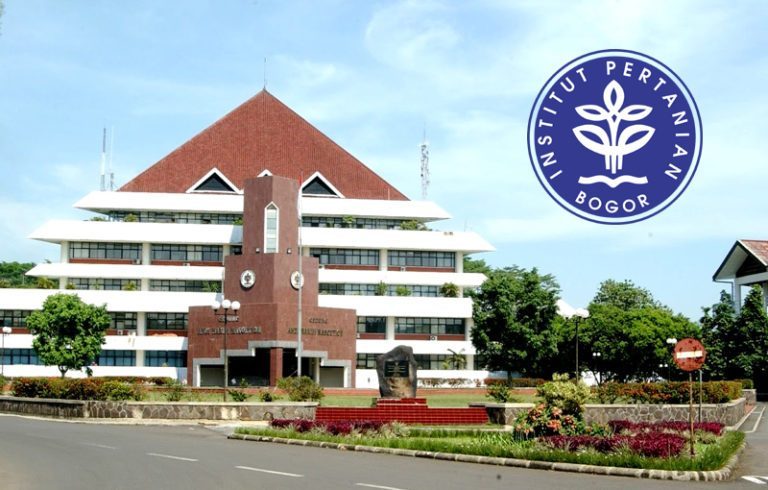 Persiapan Ujian Mandiri IPB: Perbandingan Materi dengan SNBT