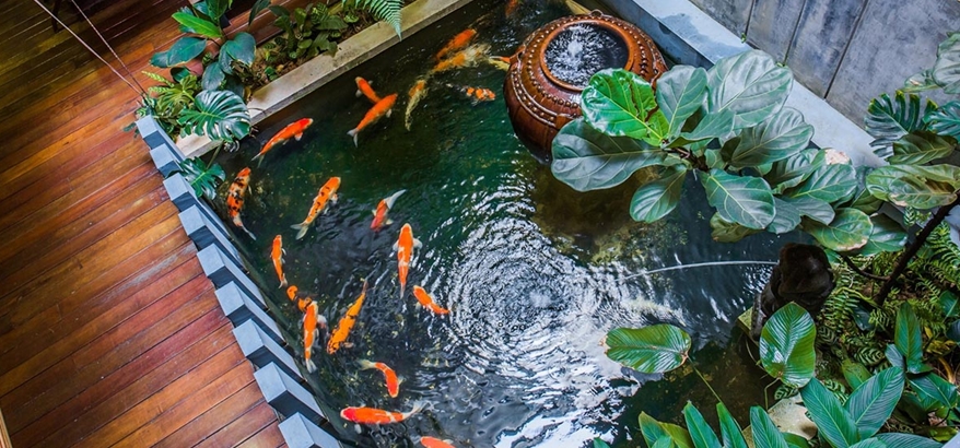 Tips Memilih Pelapis Kolam Anti Bocor yang Cocok untuk Segala Jenis Iklim